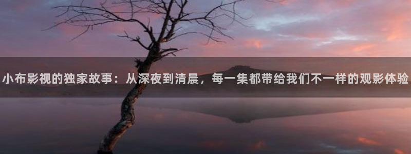 爱丫爱丫免费高清影院电视剧：小布影视的独家故事：从深夜到清晨，每一集都带给我们不一样的观影体验