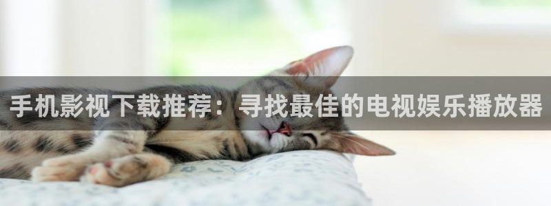 爱丫爱丫免费高清电视剧在线播放：手机影视下载推荐：寻找最佳的电视娱乐播放器