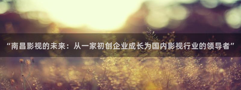 爱丫爱丫在线观看免费：“南昌影视的未来：从一家初创企业成长为国内影视行业的领导者”