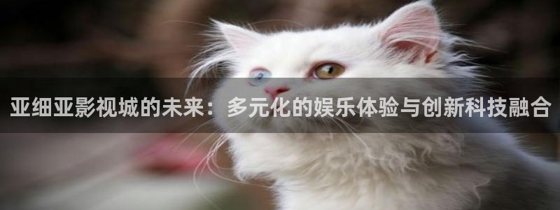 爱丫爱丫电视剧免费观看第二部：亚细亚影视城的未来：多元化的娱乐体验与创新科技融合