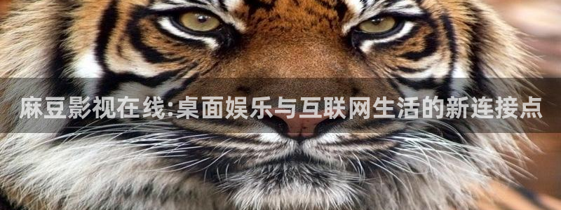 爱丫爱丫电视剧全集免费观看软件：麻豆影视在线:桌面娱乐与互联网生活的新连接点