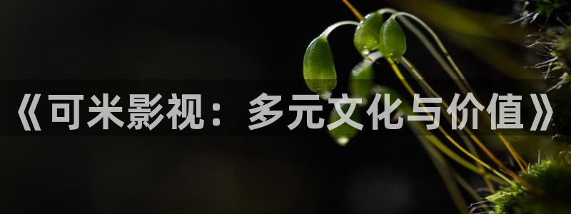 爱丫爱丫免费高清电视剧在线播放：《可米影视：多元文化与价值》